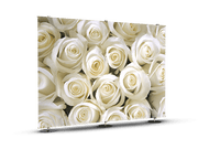 Posrer Banner Wall GS801