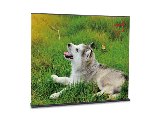 Roll Up Banner V811